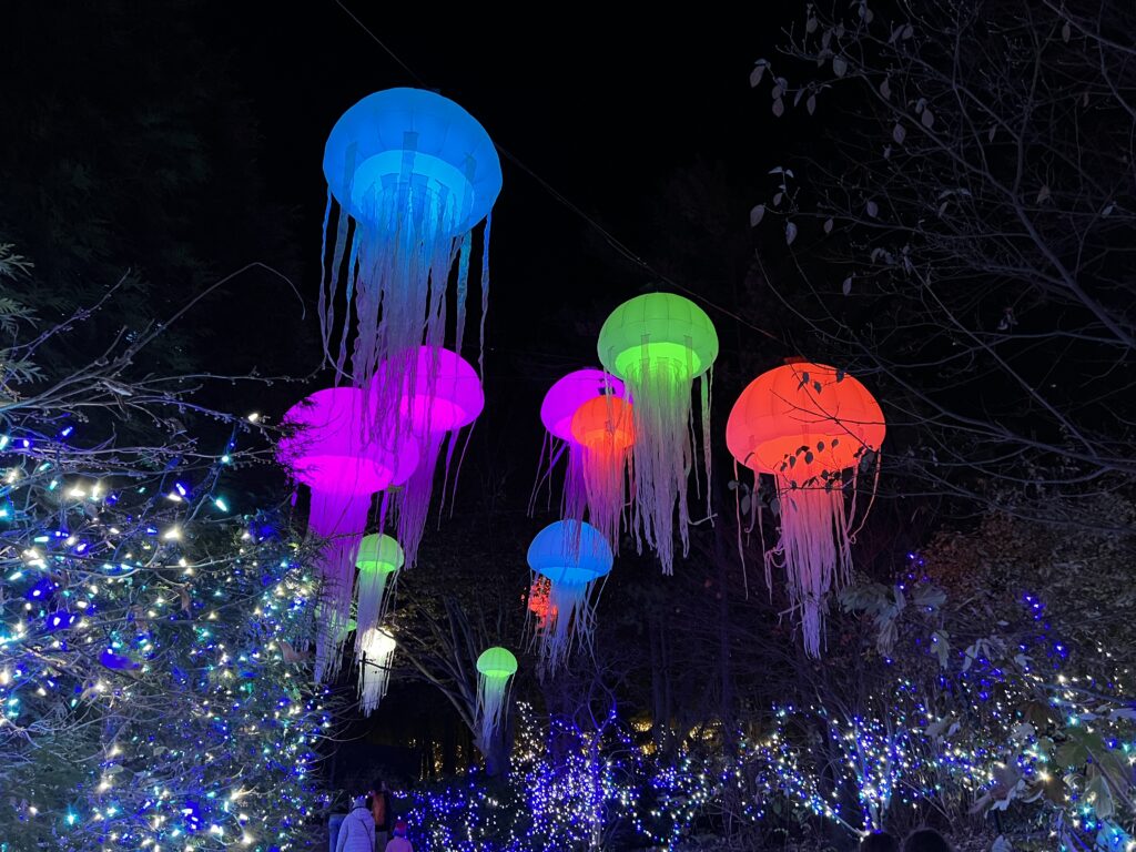 Cincinnati Zoo Festival Of Lights