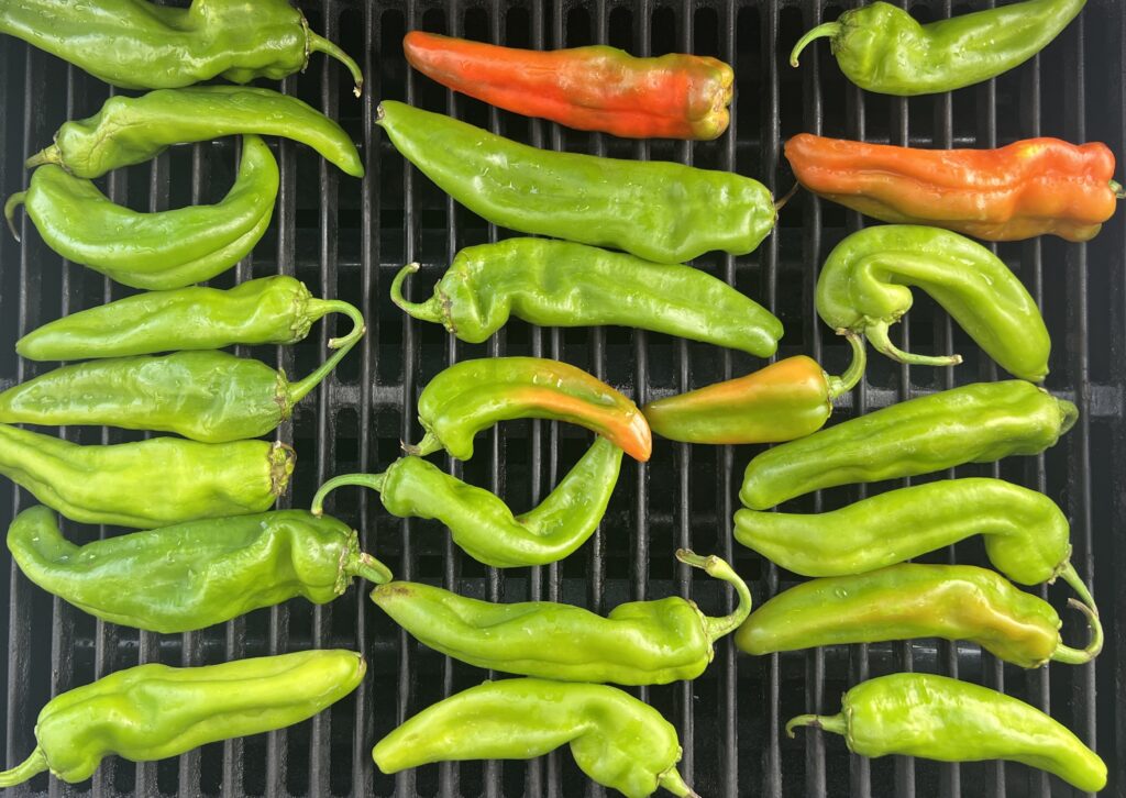 Grilling Hatch Chilis To Make Chili Verde
