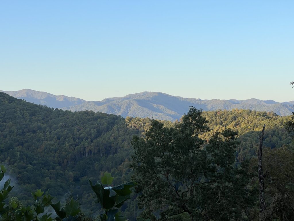 View From Cabin - Bryson City NC