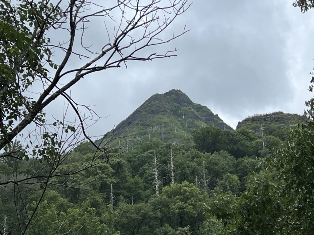 Source of the Gatlinburg Fire, GSMNP